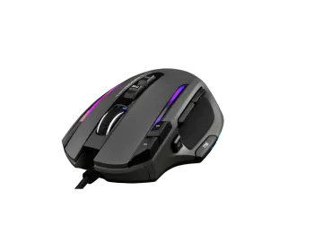 Souris
